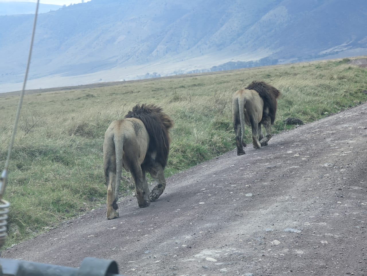 Zanzibar Tour: Fukuchani Adventure